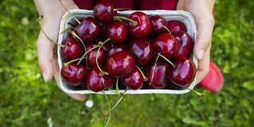 The trend of tart: why cherries are a red-hot ingredient - Cherrish Your Health