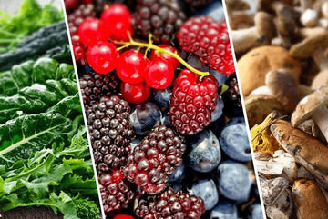 Top Anti-Inflammatory Foods and Supplements - Cherrish Your Health